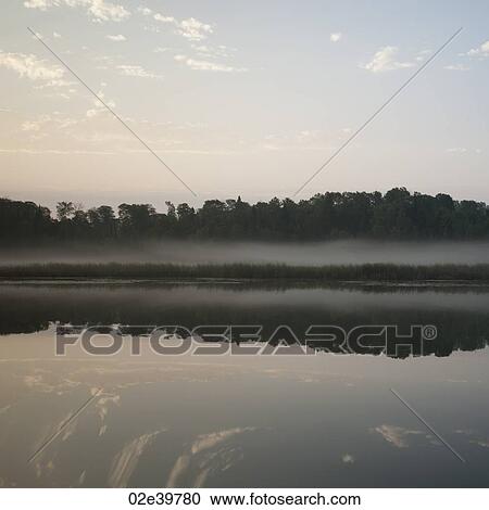 Shoreline at Lake of the Woods, Ontario View Large Photo Image Stock Image - Shoreline at Lake of the Woods, Ontario. Fotosearch