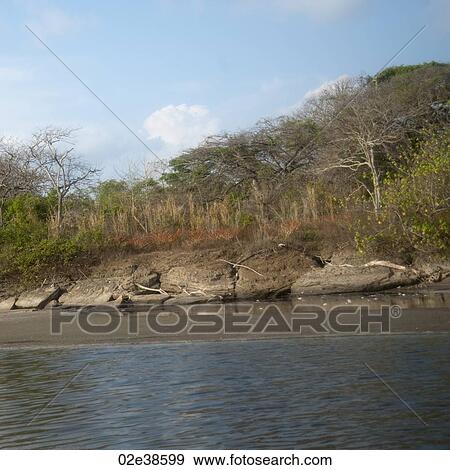Shoreline in Costa Rica View Large Photo Image Stock Photo - Shoreline in Costa Rica. Fotosearch