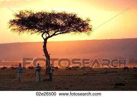 Sillouette of people against sunset sky in Kenya View Large Photo Image Stock Image - Sillouette of people against sunset sky in Kenya. Fotosearch
