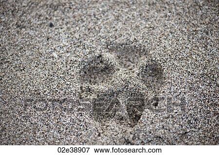 Single dog paw print in the sand View Large Photo Image Stock Photo - Single dog paw print in the sand. Fotosearch