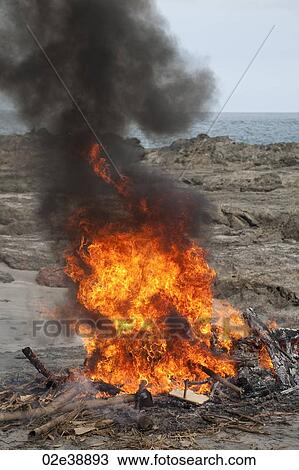 Smoking raging red bonfire on the beach View Large Photo Image Stock Image - Smoking raging red bonfire on the beach. Fotosearch