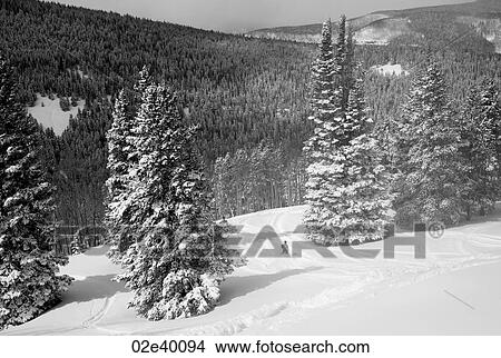 Snow covered mountainside in Vail, Colorado View Large Photo Image Picture - Snow covered mountainside in Vail, Colorado . Fotosearch