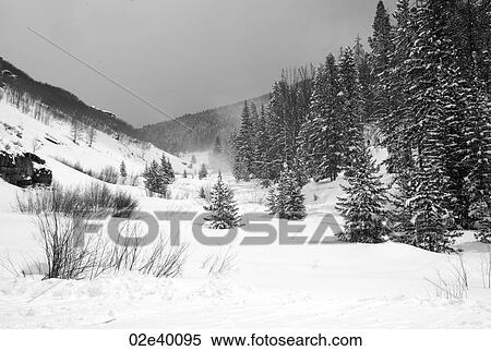 Stock Photography - Snow covered mountainside in Vail, Colorado . Fotosearch