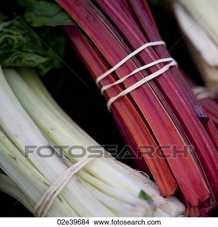 Picture - Stack of fresh vegetables. Fotosearch