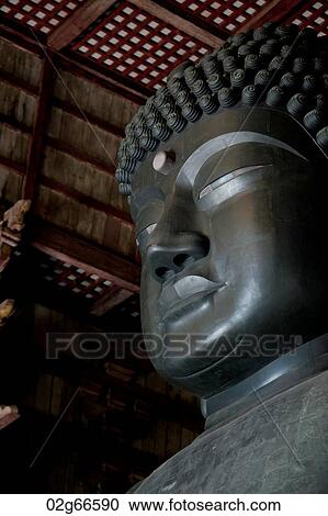 Statue of Buddha in Todaiji Temple, Nara, Japan View Large Photo Image Stock Image - Statue of Buddha in Todaiji Temple, Nara, Japan. Fotosearch