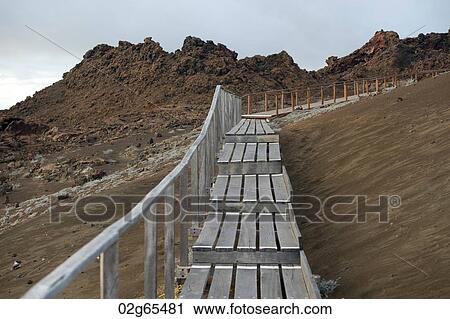 Stepped boardwalk, Bartolome island, Galapagos Islands, Ecuador View Large Photo Image Stock Image - Stepped boardwalk, Bartolome island, Galapagos Islands, Ecuador. Fotosearch