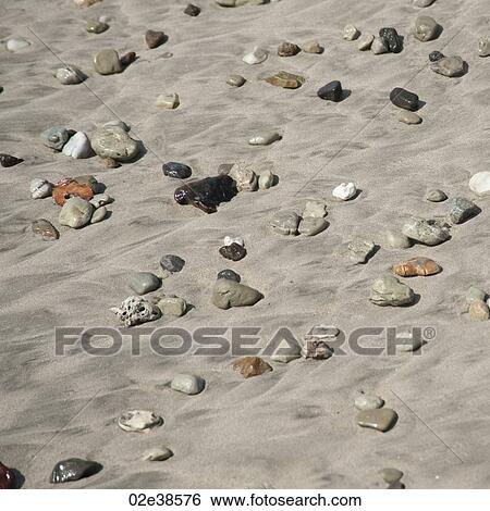 Stones along the seashore in Costa Rica View Large Photo Image Stock Photograph - Stones along the seashore in Costa Rica. Fotosearch