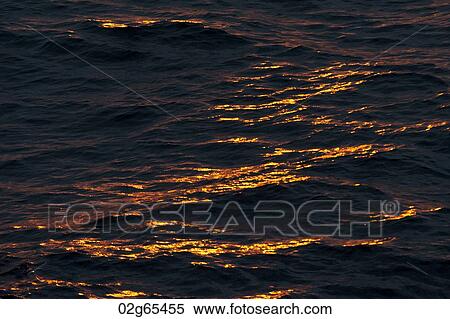Sunlight on water surface at sunset, Isabela Island, Galapagos Islands, Ecuador View Large Photo Image Stock Photography - Sunlight on water surface at sunset, Isabela Island, Galapagos Islands, Ecuador. Fotosearch