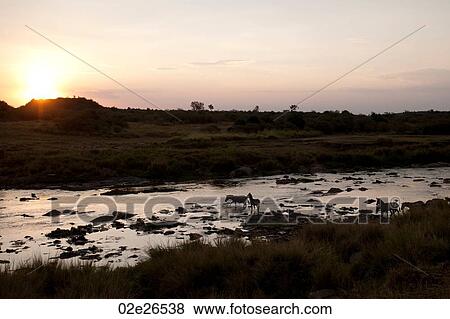 Sunset over river in Kenya View Large Photo Image Stock Photo - Sunset over river in Kenya. Fotosearch