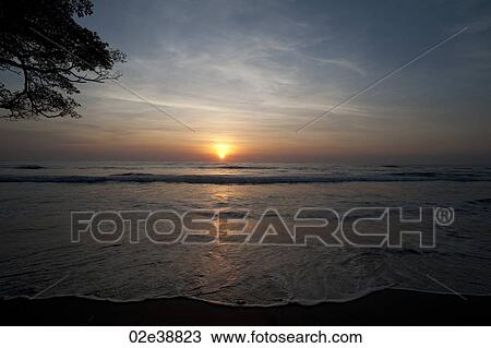 Sunset over the calm ocean at Costa Rica with tree branches in the left side of frame - cool overtones View Large Photo Image Stock Image - Sunset over the calm ocean at Costa Rica with tree branches in the left side of frame - cool overtones . Fotosearch