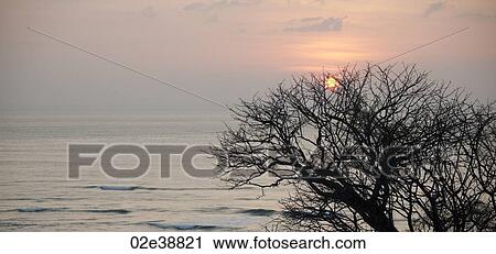 Stock Image - Sunset over the ocean through the trees in Costa Rica. Fotosearch