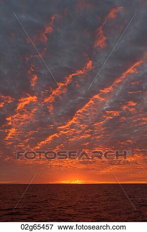 Sunset over the Pacific Ocean, Isabela Island, Galapagos Islands, Ecuador View Large Photo Image Stock Photo - Sunset over the Pacific Ocean, Isabela Island, Galapagos Islands, Ecuador. Fotosearch