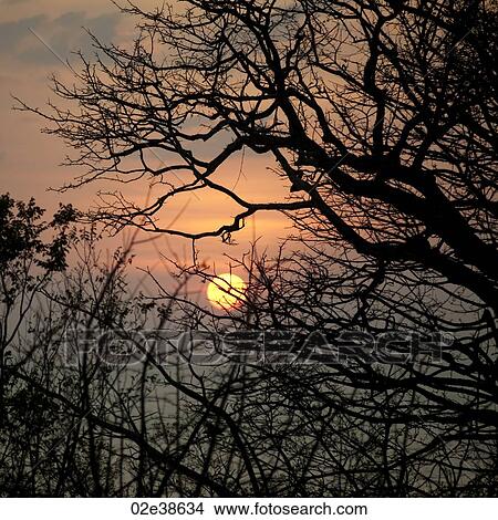 Sunset sky over Costa Rica View Large Photo Image Picture - Sunset sky over Costa Rica. Fotosearch