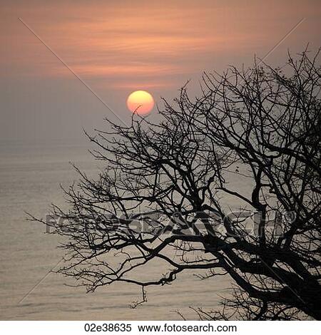Sunset sky over Costa Rica View Large Photo Image Stock Photography - Sunset sky over Costa Rica. Fotosearch