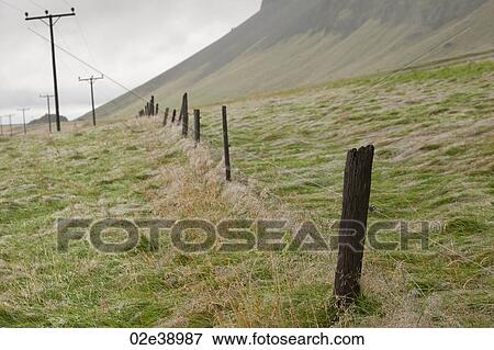 Telephone poles and barbed wire fence posts disappearing over the hill in a pasture View Large Photo Image Stock Photo - Telephone poles and barbed wire fence posts disappearing over the hill in a pasture. Fotosearch