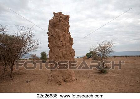 Stock Photograph - Termite hill in Kenya. Fotosearch