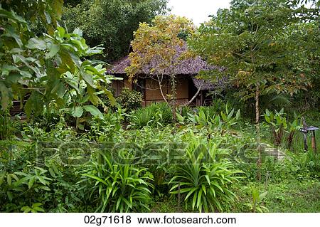 Thatched roofed hut in a village, Thailand View Large Photo Image Stock Photo - Thatched roofed hut in a village, Thailand. Fotosearch