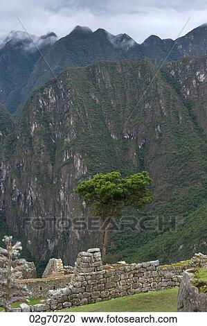 The Lost City of The Incas, Machu Picchu, Cusco Region, Peru View Large Photo Image Stock Image - The Lost City of The Incas, Machu Picchu, Cusco Region, Peru. Fotosearch