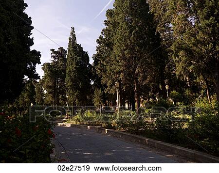 Treed roadway in Rhodes Greece View Large Photo Image Stock Photo - Treed roadway in Rhodes Greece. Fotosearch