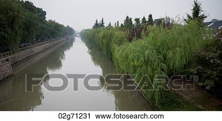 Trees along a creek, Suzhou, Jiangsu Province, China View Large Photo Image Stock Image - Trees along a creek, Suzhou, Jiangsu Province, China. Fotosearch