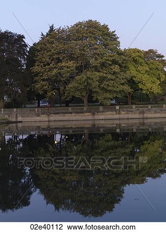 Trees along the sea wall in Vancouver, British Columbia, Canada View Large Photo Image Stock Image - Trees along the sea wall in Vancouver, British Columbia, Canada. Fotosearch
