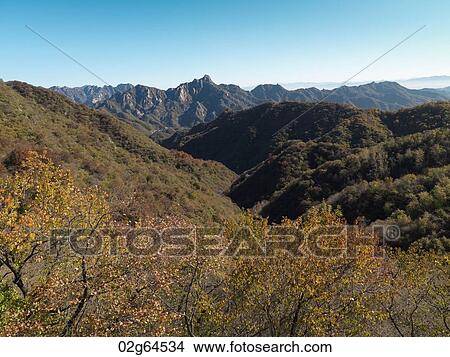 Trees at the Mutianyu section of the Great Wall of China, Beijing, China View Large Photo Image Picture - Trees at the Mutianyu section of the Great Wall of China, Beijing, China. Fotosearch
