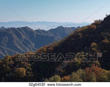 Trees at the Mutianyu section of the Great Wall of China, Beijing, China View Large Photo Image Stock Image - Trees at the Mutianyu section of the Great Wall of China, Beijing, China. Fotosearch