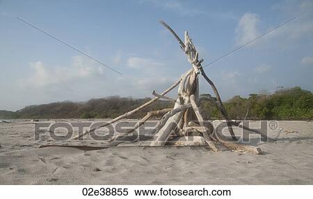 Triangle bonfireteepee made of driftwood on the sand beach with the forest in the background and clouds in the blue sky View Large Photo Image Stock Photography - Triangle bonfireteepee made of driftwood on the sand beach with the forest in the background and clouds in the blue sky. Fotosearch