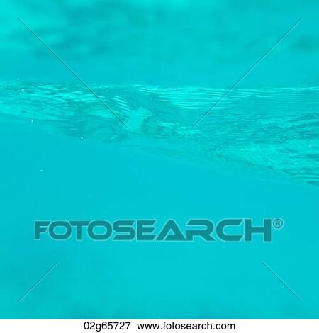 Underwater, Gardner Bay, Espanola Island, Galapagos Islands, Ecuador View Large Photo Image Stock Photo - Underwater, Gardner Bay, Espanola Island, Galapagos Islands, Ecuador. Fotosearch