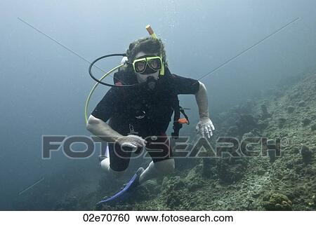 Underwater photography, scuba diver View Large Photo Image Stock Image - Underwater photography, scuba diver. Fotosearch