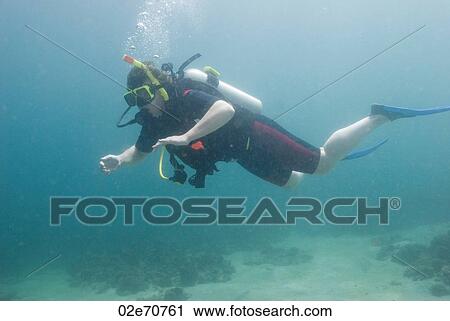 Stock Image - Underwater photography, scuba diver. Fotosearch