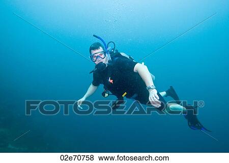 Underwater photography, scuba diver View Large Photo Image Stock Photo - Underwater photography, scuba diver. Fotosearch
