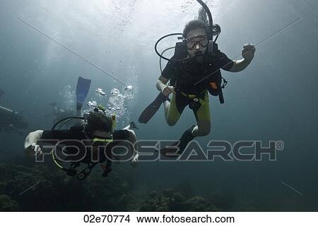 Underwater scene with scuba divers View Large Photo Image Picture - Underwater scene with scuba divers. Fotosearch