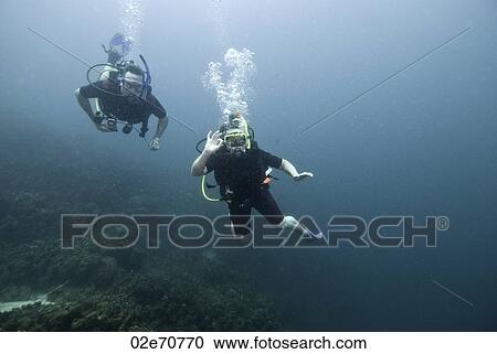 Stock Image - Underwater scene with scuba divers. Fotosearch