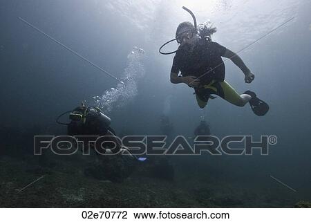 Stock Image - Underwater scene with scuba divers. Fotosearch
