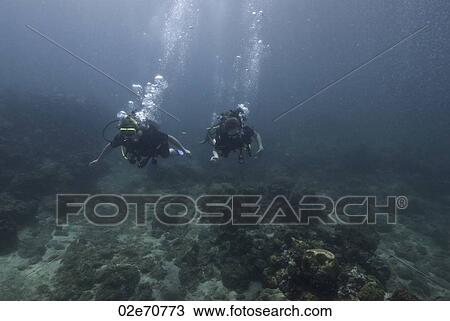 Underwater scene with scuba divers View Large Photo Image Stock Image - Underwater scene with scuba divers. Fotosearch