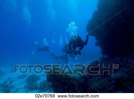 Underwater scene with scuba divers View Large Photo Image Stock Photo - Underwater scene with scuba divers. Fotosearch