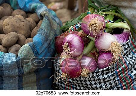 Vegetables for sale at a store, Pisac, Sacred Valley, Cusco Region, Peru View Large Photo Image Stock Image - Vegetables for sale at a store, Pisac, Sacred Valley, Cusco Region, Peru. Fotosearch