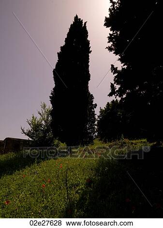 Stock Photo - Venice, Italy. Fotosearch