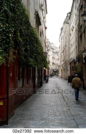 Stock Image - Vines on an exterior wall in Paris France. Fotosearch