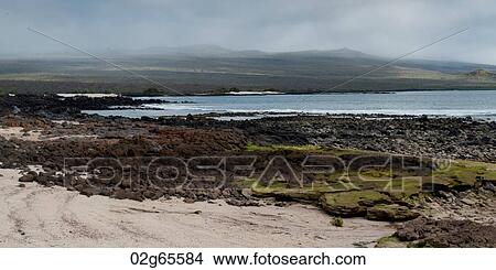 Picture - Volcanic rocks on the coast, San Cristobal Island, Galapagos Islands, Ecuador. Fotosearch