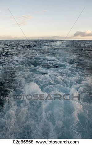 Wake formed by the moving ship in the ocean, Galapagos Islands, Ecuador View Large Photo Image Stock Photo - Wake formed by the moving ship in the ocean, Galapagos Islands, Ecuador. Fotosearch