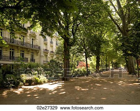 Walkway between trees in Paris France View Large Photo Image Stock Photo - Walkway between trees in Paris France. Fotosearch