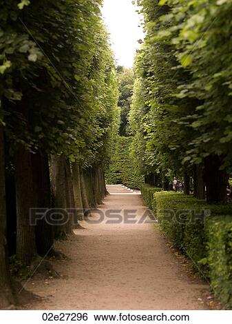 Walkway in a park in Paris France View Large Photo Image Stock Photograph - Walkway in a park in Paris France. Fotosearch