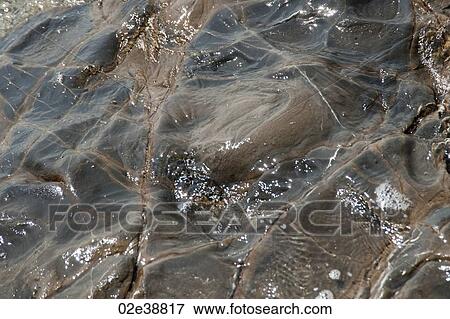 Water flowing over rocks on beach in Costa Rica View Large Photo Image Stock Photo - Water flowing over rocks on beach in Costa Rica. Fotosearch