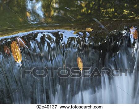 Waterfall in Stanley park in Vancouver, British Columbia, Canada View Large Photo Image Stock Photo - Waterfall in Stanley park in Vancouver, British Columbia, Canada. Fotosearch
