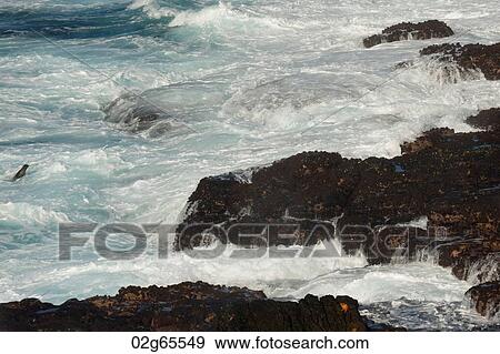Waves breaking on the coast, Punta Suarez, Espanola Island, Galapagos Islands, Ecuador View Large Photo Image Stock Photo - Waves breaking on the coast, Punta Suarez, Espanola Island, Galapagos Islands, Ecuador. Fotosearch