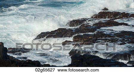 Waves crashing on rocky coast, Punta Suarez, Espanola Island, Galapagos Islands, Ecuador View Large Photo Image Stock Photo - Waves crashing on rocky coast, Punta Suarez, Espanola Island, Galapagos Islands, Ecuador. Fotosearch