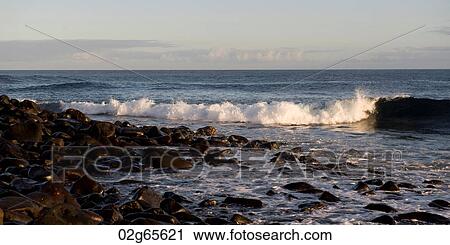 Waves hitting the coast, Punta Suarez, Espanola Island, Galapagos Islands, Ecuador View Large Photo Image Stock Image - Waves hitting the coast, Punta Suarez, Espanola Island, Galapagos Islands, Ecuador. Fotosearch