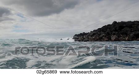 Waves in the Pacific Ocean, Playa Ochoa, San Cristobal Island, Galapagos Islands, Ecuador View Large Photo Image Stock Photo - Waves in the Pacific Ocean, Playa Ochoa, San Cristobal Island, Galapagos Islands, Ecuador. Fotosearch